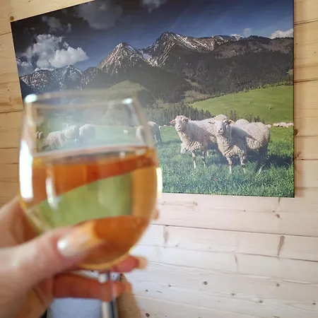 Podhalańskie Chata Rokiciny Podhalanskie