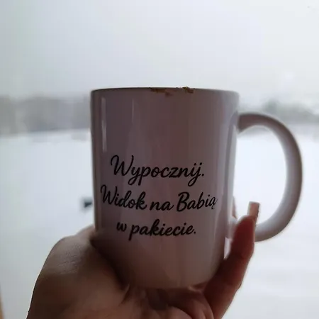 山林小屋 Podhalanskie Rokiciny Podhalanskie